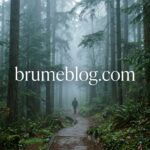 BrumeBlog Com: What It Is, What It Publishes & Whether You Can Trust It (2026)