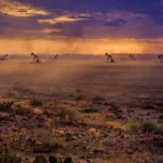 Landman Cast (2026 Guide): Meet the Stars of Taylor Sheridan’s Oil Drama